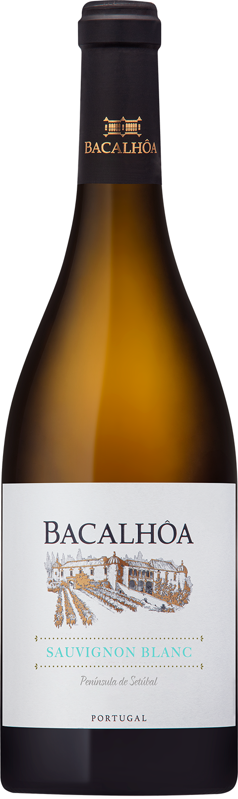 Bacalhôa Sauvignon Blanc