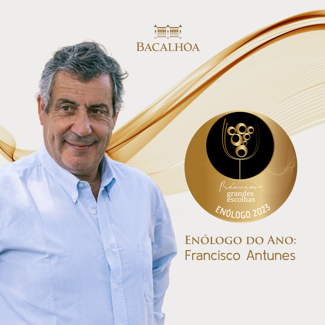Bacalhôa Recebe Distinções Notáveis em "Os Melhores do Ano 2023" pela Revista Grandes Escolhas