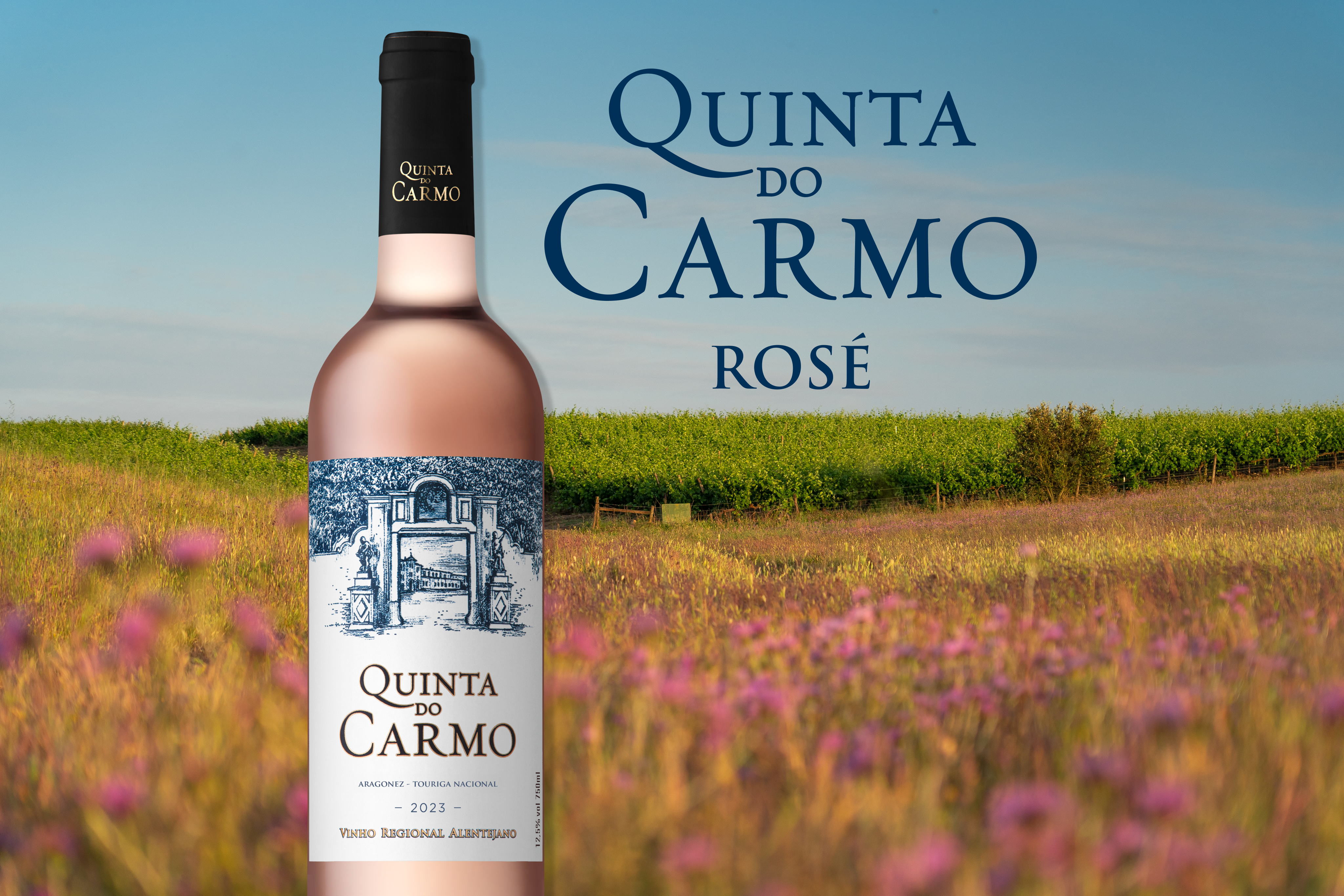 Novo Quinta do Carmo Rosé: Uma Celebração do Alentejo em Cada Gole 0