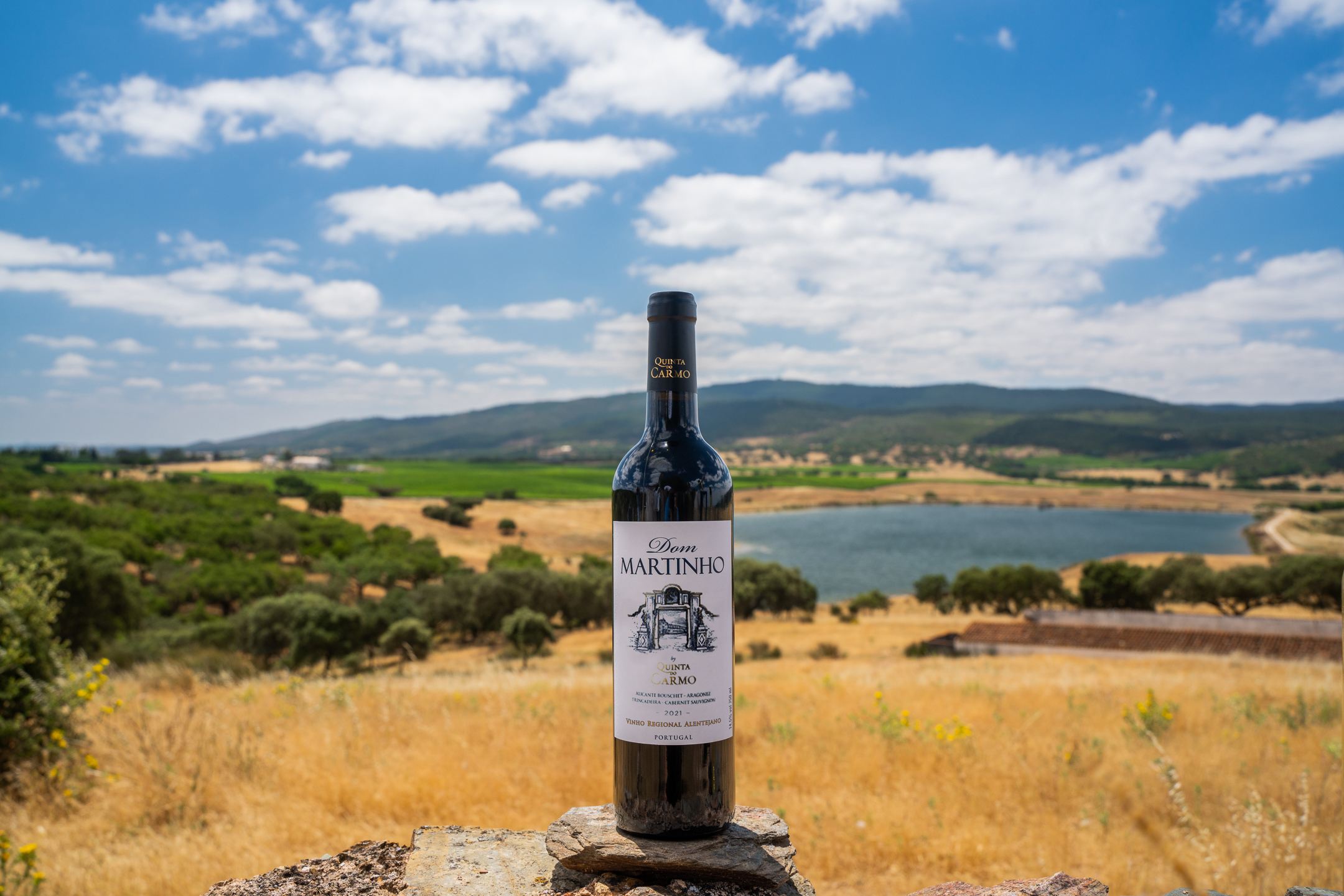 Mundus Vini - DOM MARTINHO TINTO 2021 “ Best of Show Alentejano red in retail markets" 1