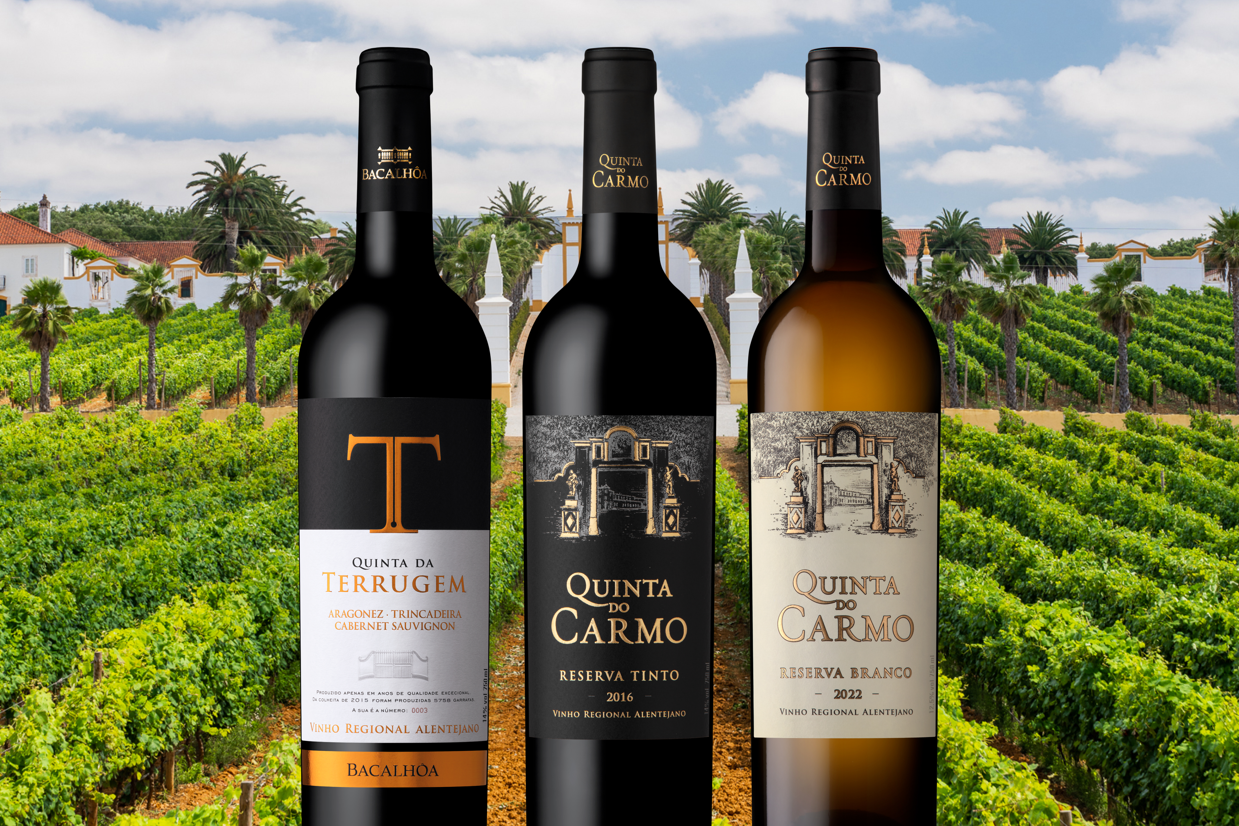 Quinta do Carmo Shines at the Best Wines of Alentejo Awards Gala 0