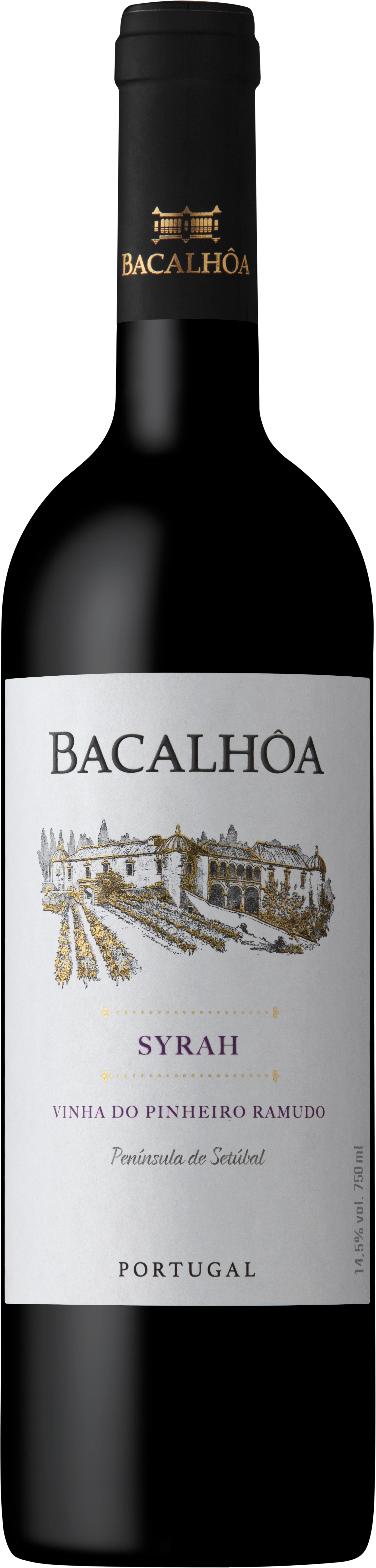 Bacalhôa Syrah