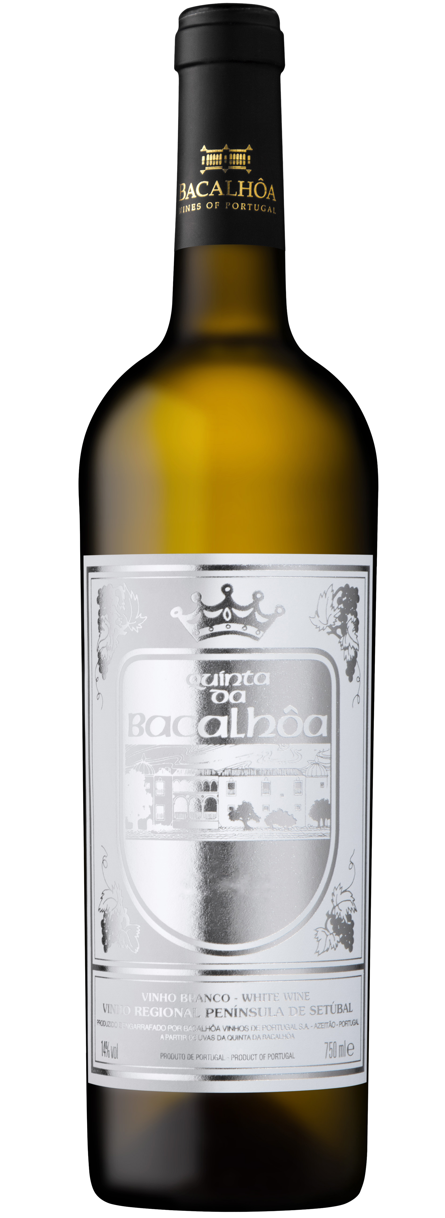 Quinta da Bacalhôa Branco