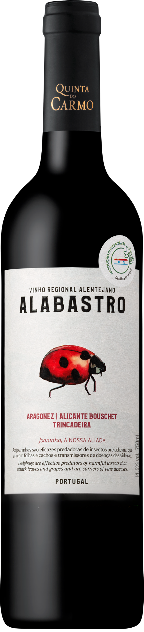 Alabastro Tinto 2